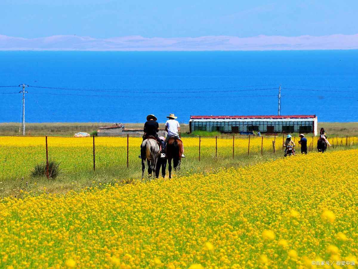 青海旅游公司电话